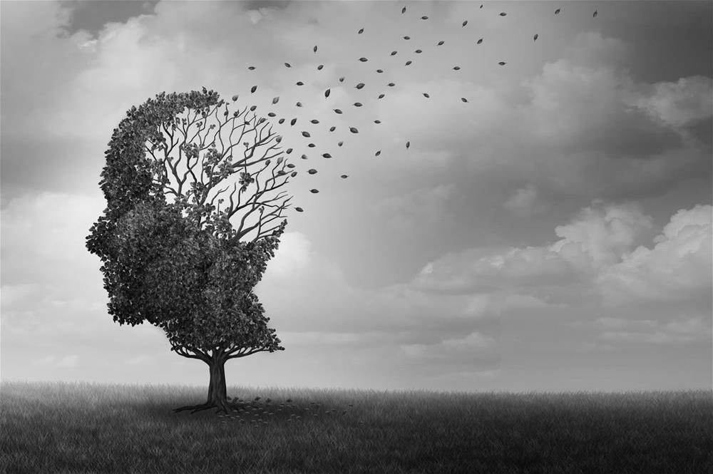 Deciphering the signals from the ageing brain