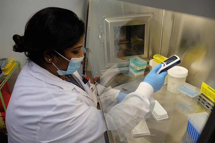 Bertoletti’s team have years of experience coaxing T cells