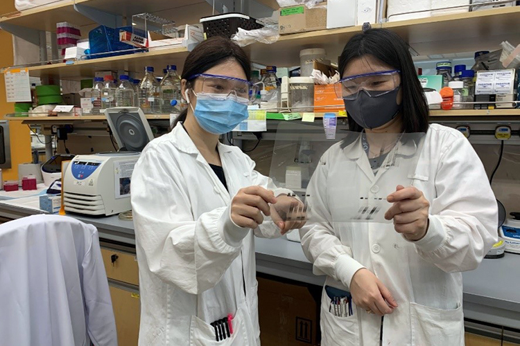 Effective treatment for certain cancers