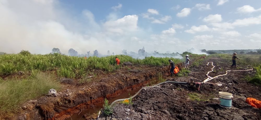 Picture of a peat wildfire