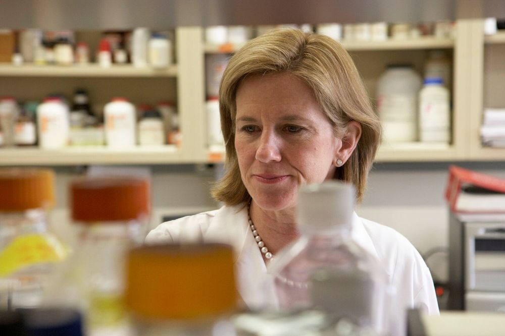 Dean Klotman in the lab