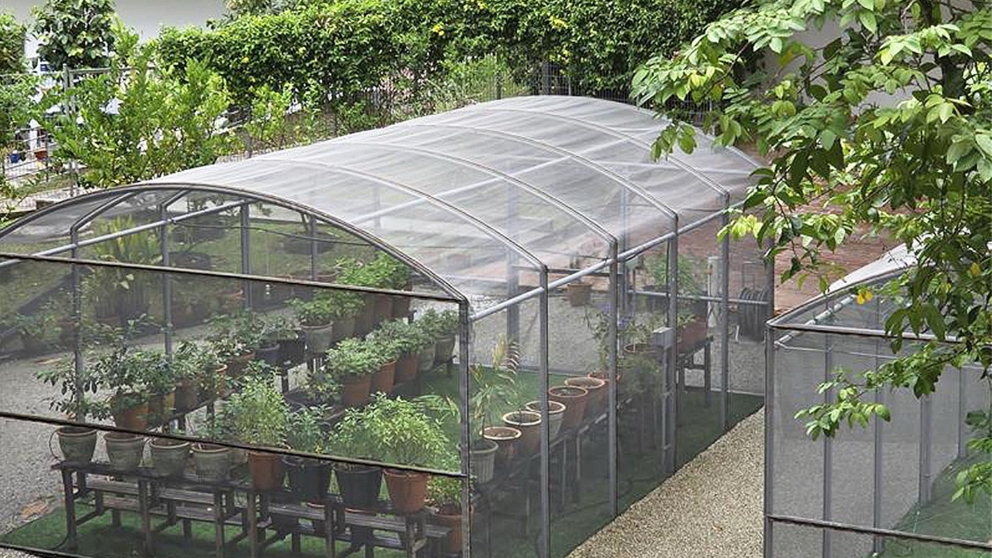 NUS Sustainability CONNECT 2025_3