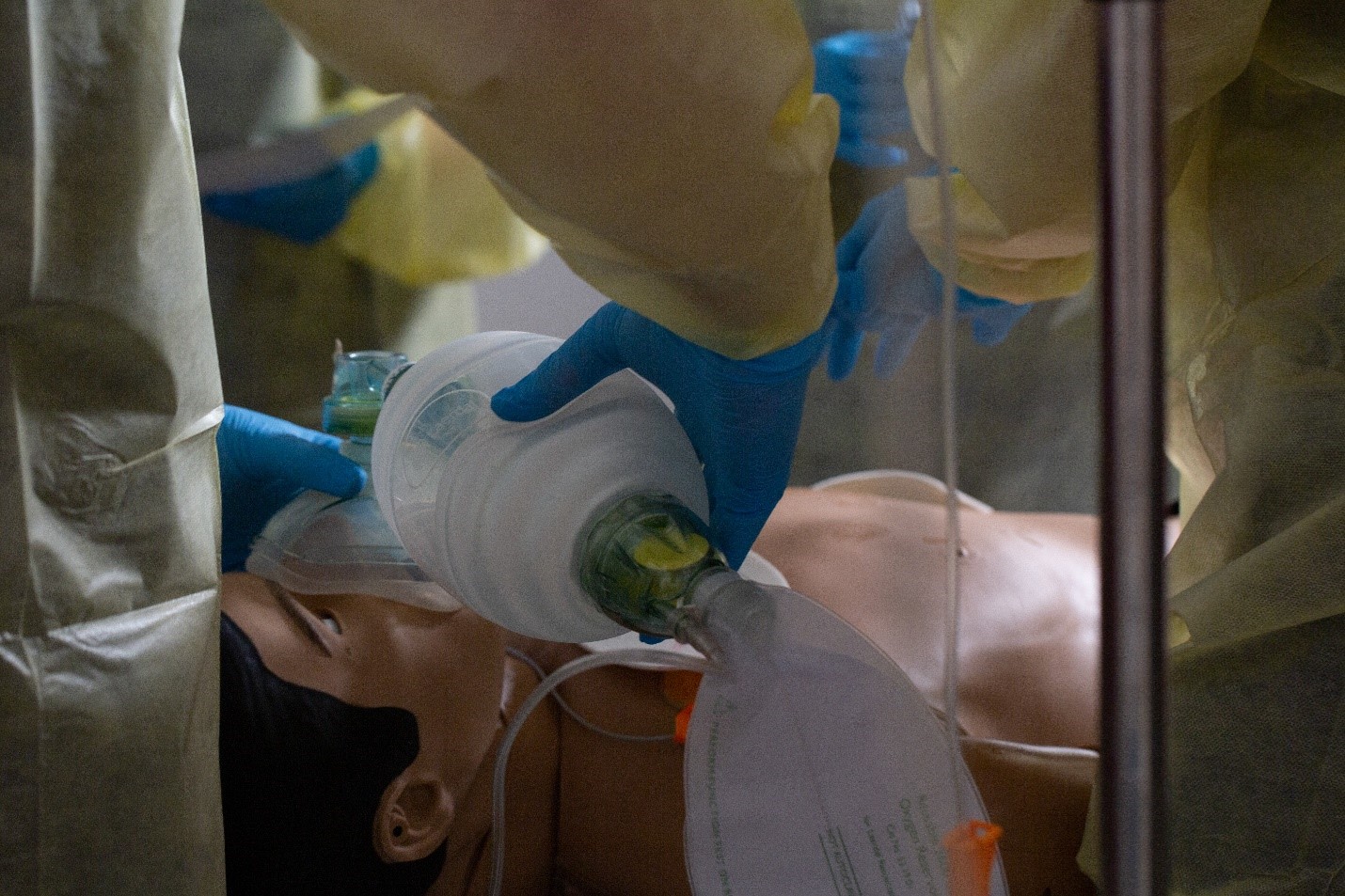 During a simulation session