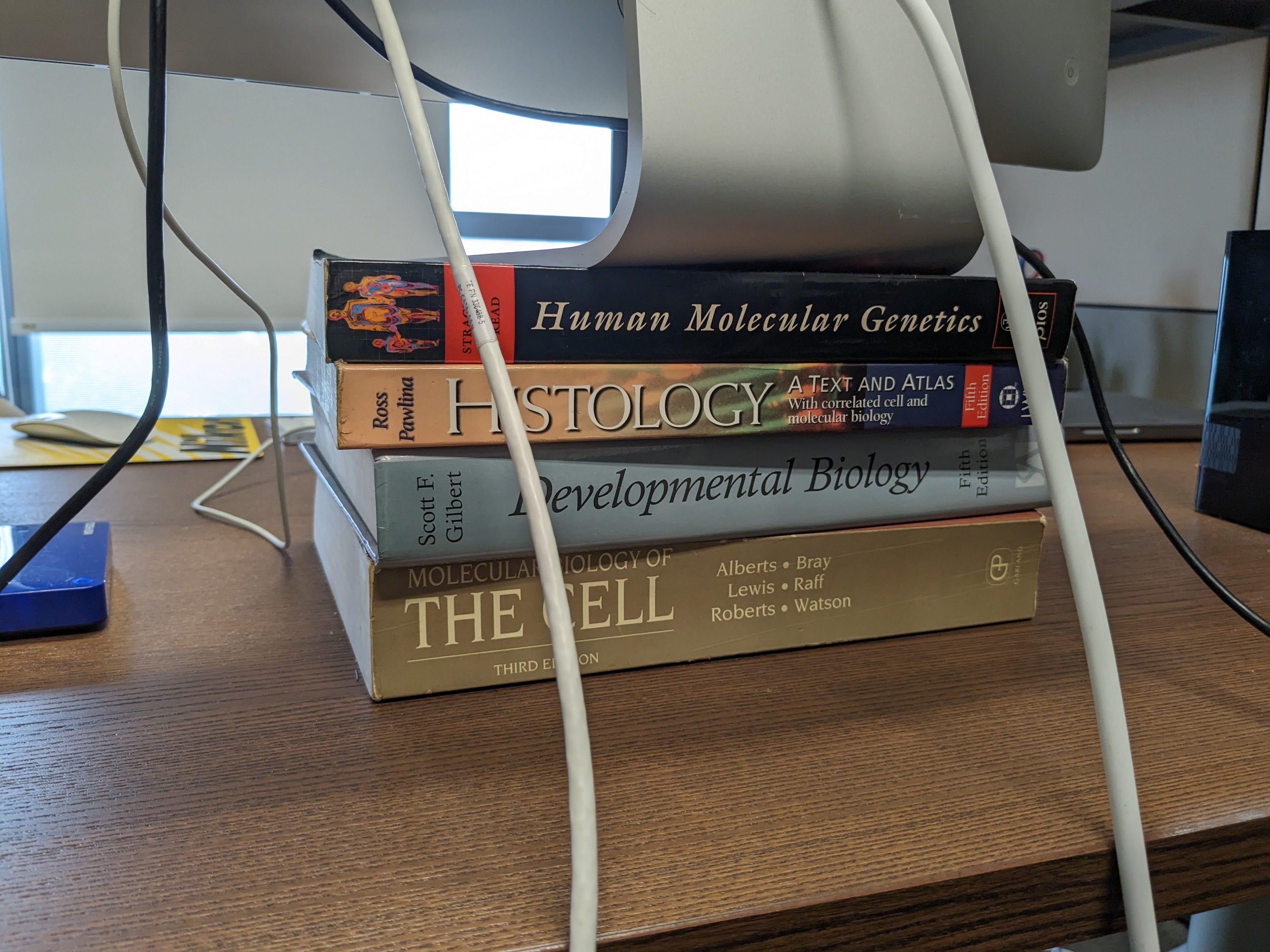 A photo of a monitor elevated on four biology textbooks