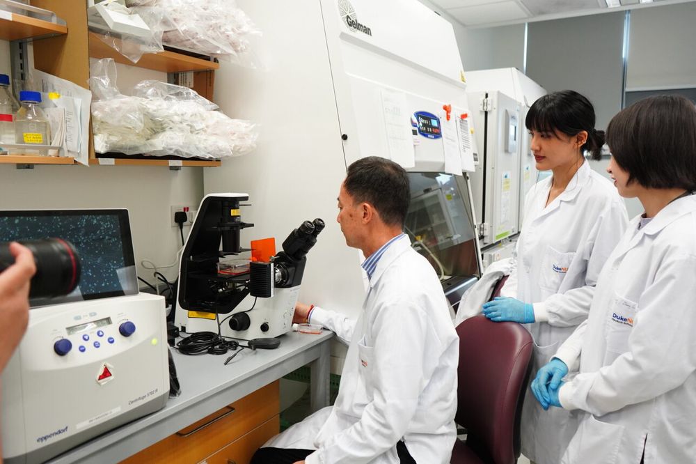 A scientist sitting at a microscope with two other scientists watching him
