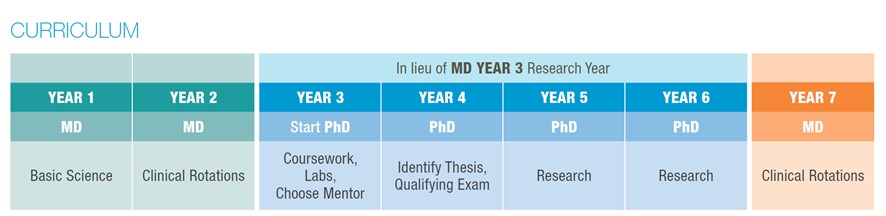 MD-PhD Track