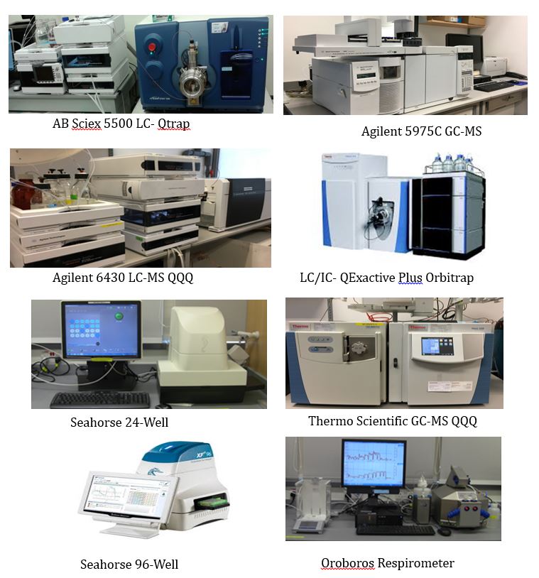 Metabolomics Equipment picture