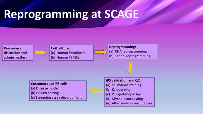 Reprogramming Service Workflow Reprogramming Service Workflow